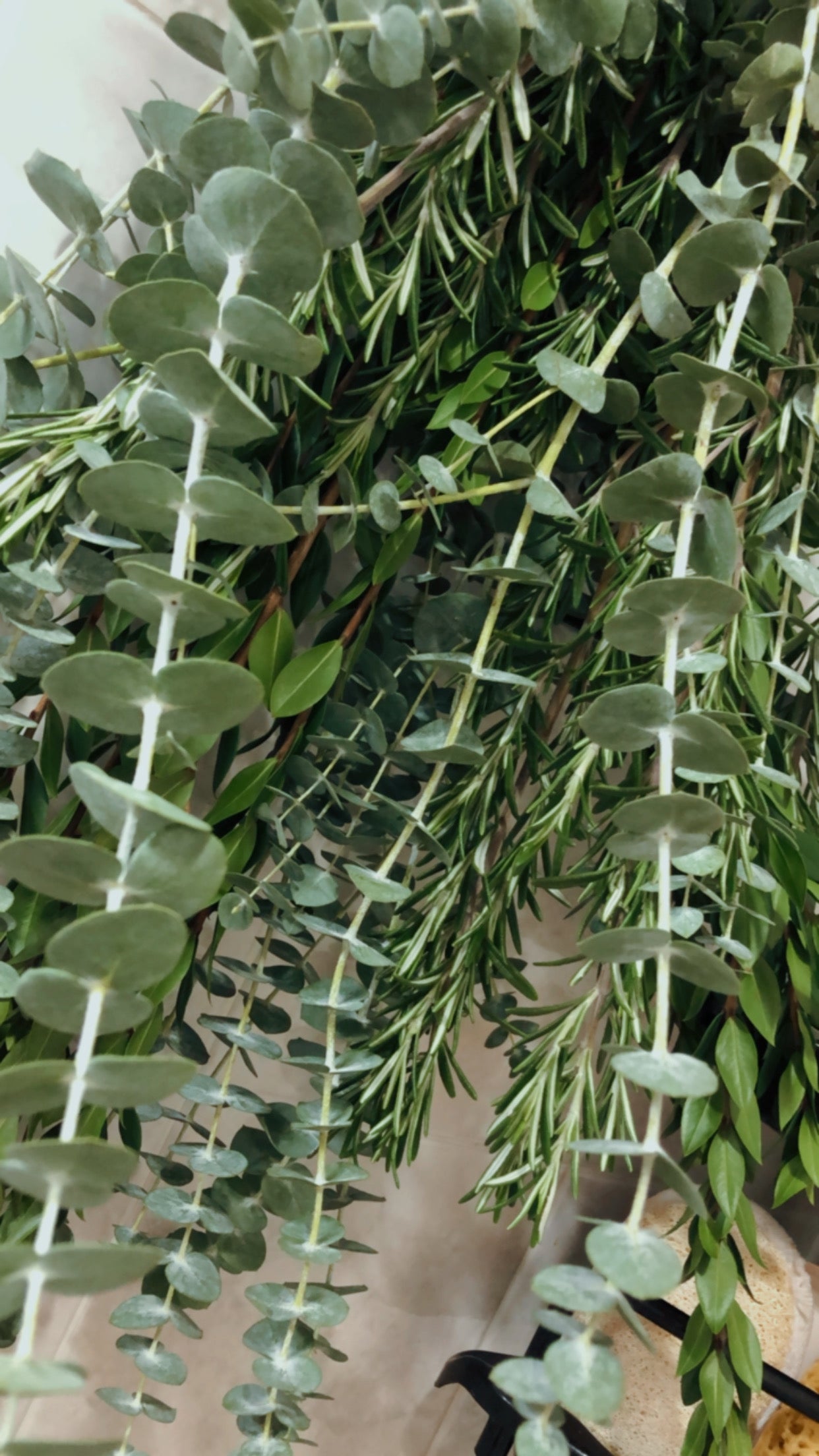 Eucalyptus Shower