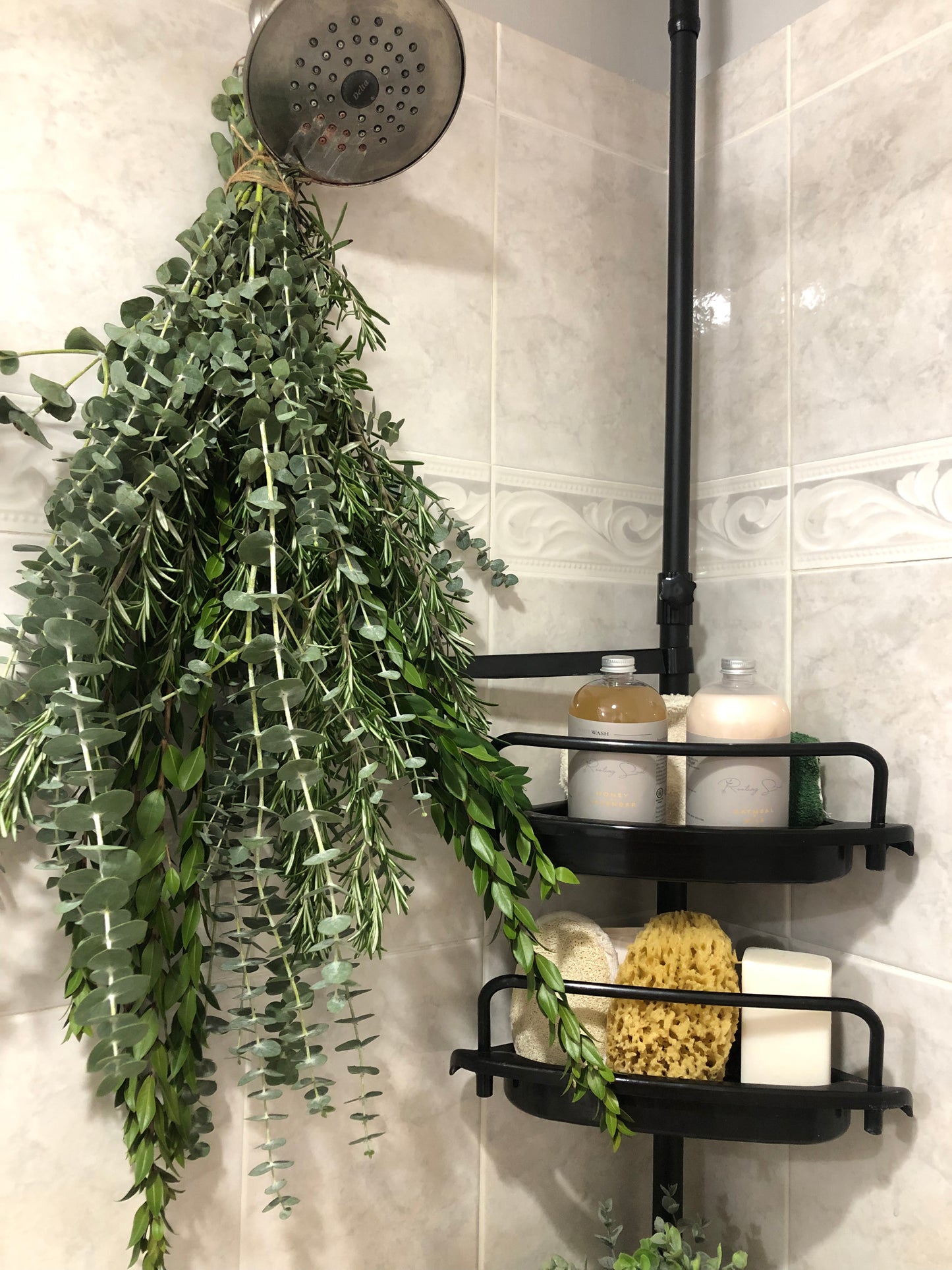 Eucalyptus Shower